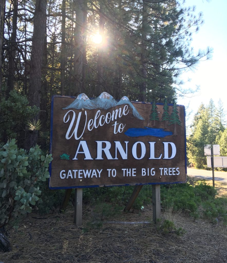 day trips from arnold ca